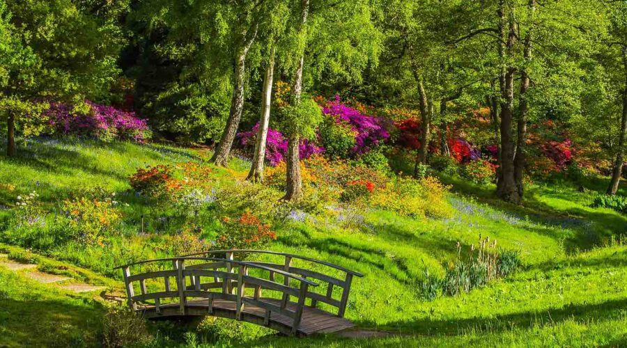 Romantischer Garten im Wald